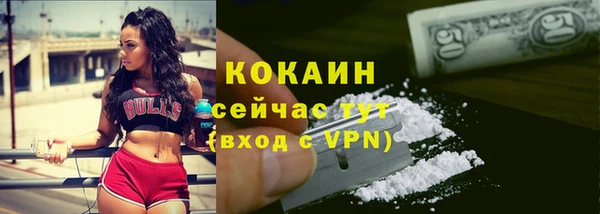 индика Баксан