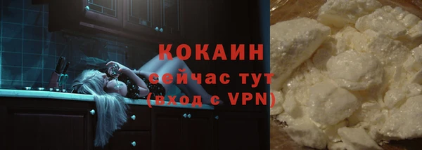 индика Баксан