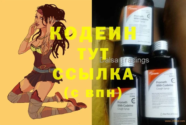 индика Баксан