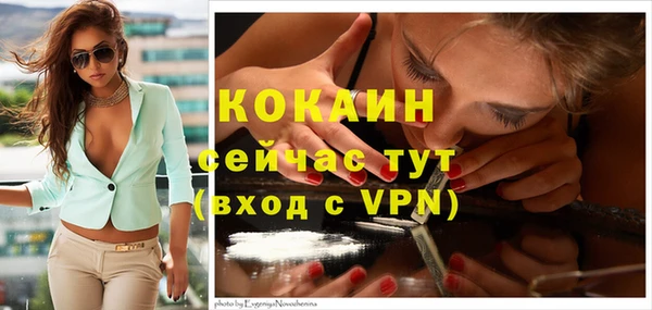 индика Баксан