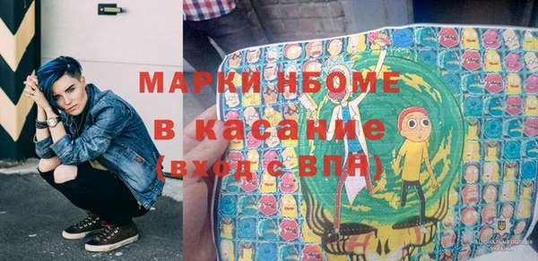 индика Елабуга