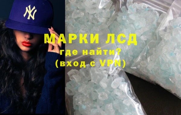 индика Баксан